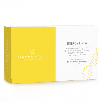  DAYA ENERGY FLOW